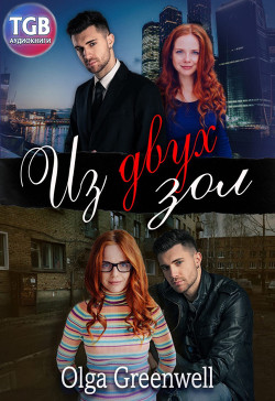 Книга Из двух зол