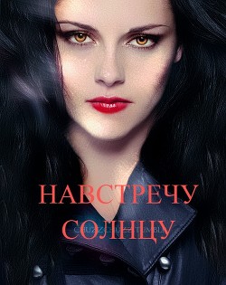 Книга Навстречу солнцу (СИ)