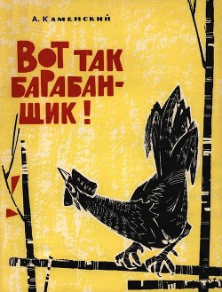 Книга Вот так барабанщик!