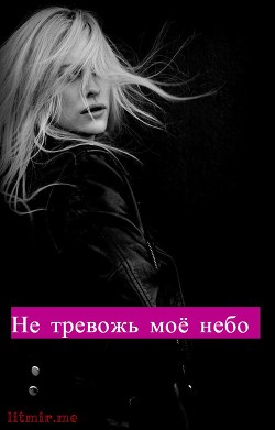 Книга Не тревожь моё небо (СИ)