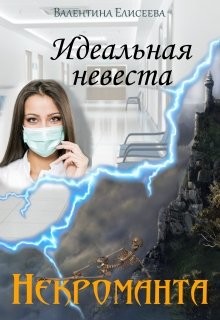 Книга Идеальная невеста некроманта (СИ)