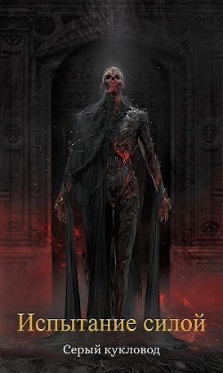 Книга Испытание силой (СИ)