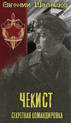 Книга Секретная командировка (СИ)