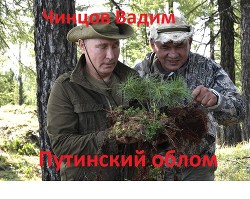 Книга Путинский облом