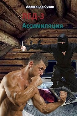 Книга Ассимиляция (СИ)