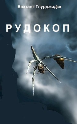Книга Рудокоп (СИ)