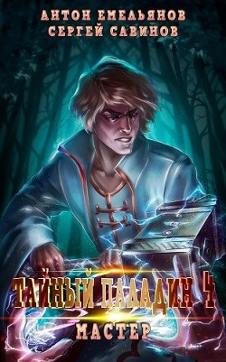 Книга Тайный паладин 4: Мастер (СИ)
