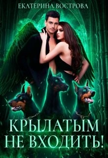 Книга Крылатым не входить! (СИ)