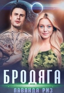 Книга Бродяга (СИ)