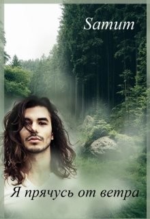 Книга Я прячусь от ветра (СИ)