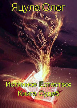 Книга Книга Судеб (СИ)