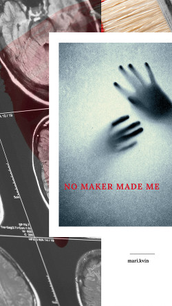 Книга No Maker Made Me (СИ)