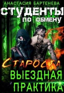 Книга Староста - выездная практика (СИ)