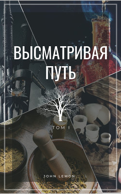 Книга Высматривая путь. Том I (СИ)