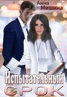 Книга Испытательный срок (СИ)