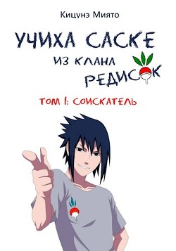 Книга Соискатель (СИ)