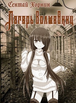 Книга Лагерь волшебниц №208 (СИ)