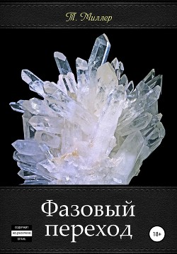 Книга Фазовый переход (СИ)