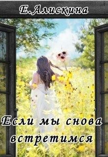 Книга Если мы снова встретимся (СИ)