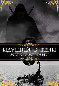 Книга Идущий в тени 5 (СИ)