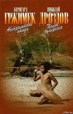 Книга Полет бумеранга