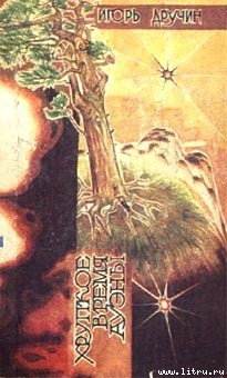 Книга Хрупкое время Ауэны