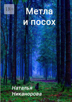 Книга Метла и посох (СИ)
