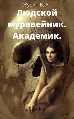 Книга Академик (СИ)