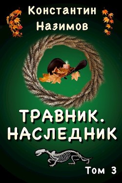 Книга Наследник (СИ)