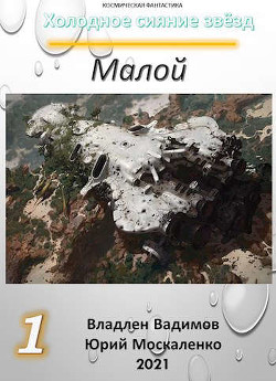 Книга Малой. Книга первая (СИ)