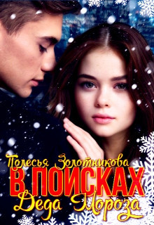 Читать онлайн книгу В поисках Деда Мороза (СИ) автор Золотникова Полесья Книга В поисках Деда Мороза (СИ)