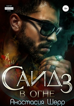 Книга Саид 3. В огне