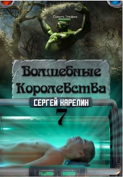 Книга Волшебные королевства 7. 