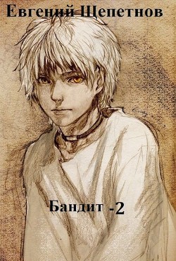 Книга Бандит 2 (СИ)