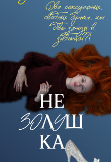 Книга Не Золушка (СИ)