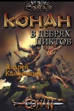 Книга Конан в дебрях пиктов (СИ)