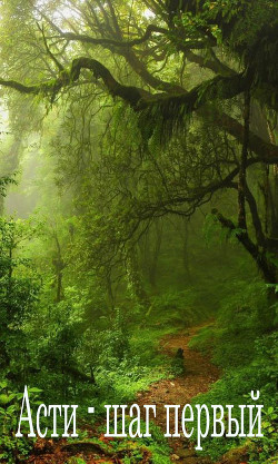 Читать онлайн книгу Асти - шаг первый (СИ) автор Книга Асти - шаг первый (СИ)