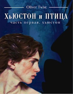 Книга Хьюстон (СИ)