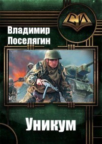 Книга Сокрушитель (СИ)