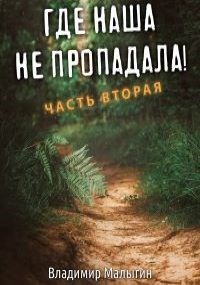 Книга Где наша не пропадала 2 (СИ)