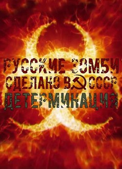 Книга Детерминация (СИ)