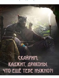 Книга Скайрим, каджит, драконы. Что ещё тебе нужно?! (СИ)