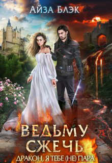 Книга Ведьму сжечь, или Дракон, я тебе (не) пара (СИ)