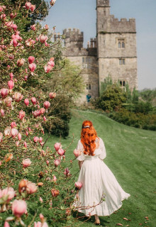 Книга Я попала! Марина (СИ)