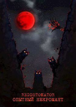 Книга Опытный некромант (СИ)