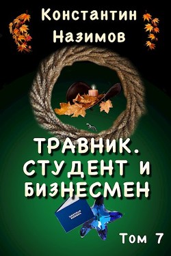 Книга Студент и бизнесмен (СИ)