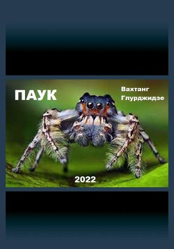 Книга Паук (СИ)