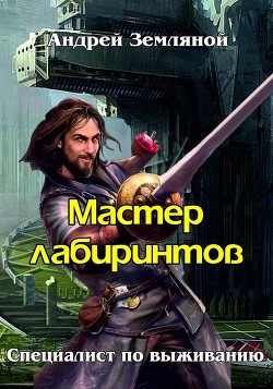 Книга Мастер лабиринтов (СИ)