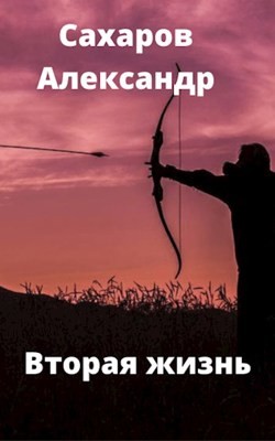 Книга Вторая жизнь (СИ)