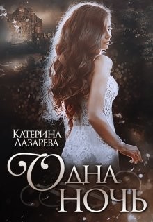 Читать онлайн книгу Одна ночь (СИ) автор Лазарева Катерина Книга Одна ночь (СИ)
